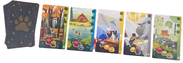 کارت حیوانات در بازی هارمونیز Animal Cards in Harmonies Boardgame